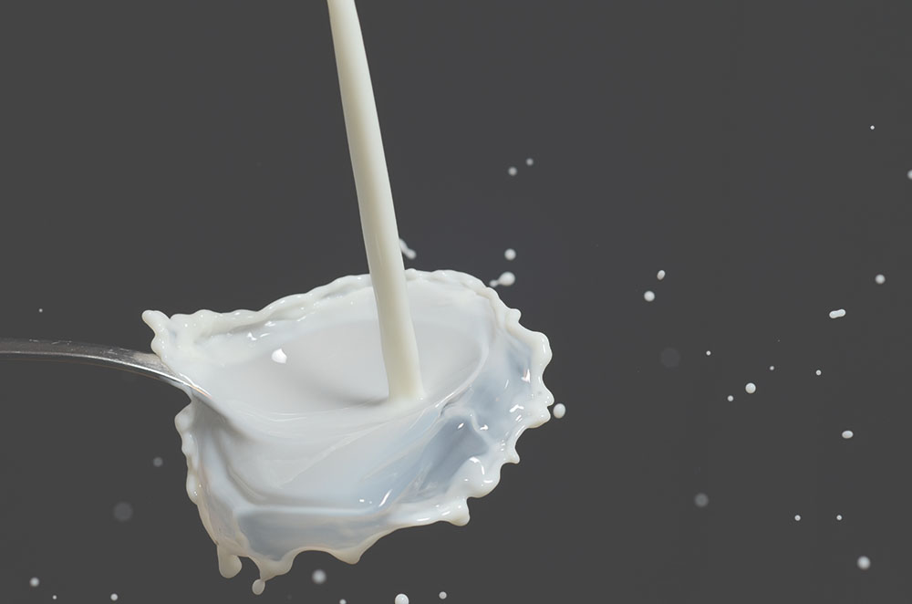 buleza-bebiendo-leche-de-burra buleza-bebiendo-leche-de-burra