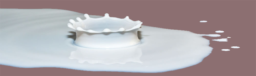 buleza-charco-leche-de-burra